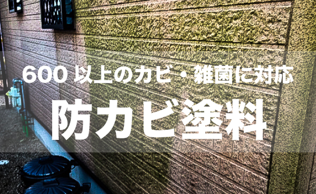 外壁を蝕 むしば むカビや雑菌対策に 月彩 つきいろ が使用する600菌対応の高品位防カビ塗料 塗装専門社 月彩 つきいろ